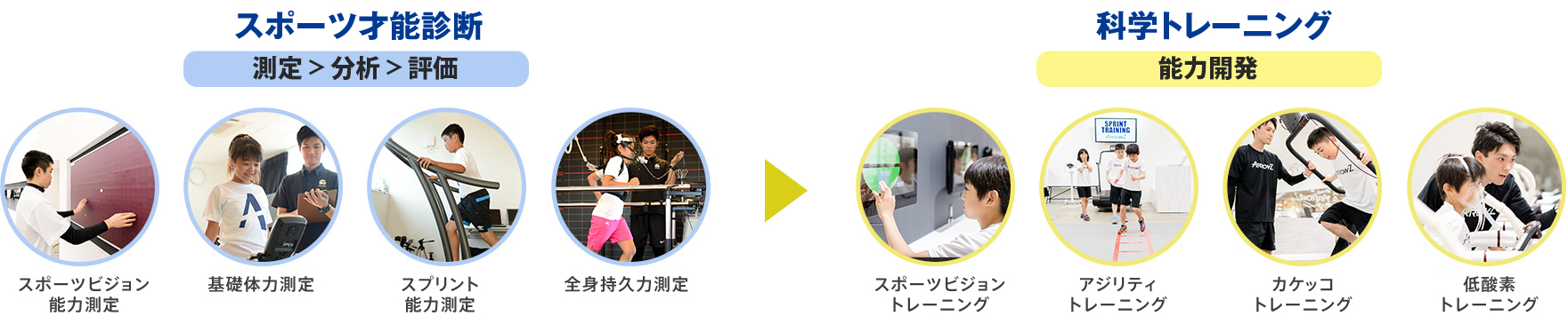 スポーツドック